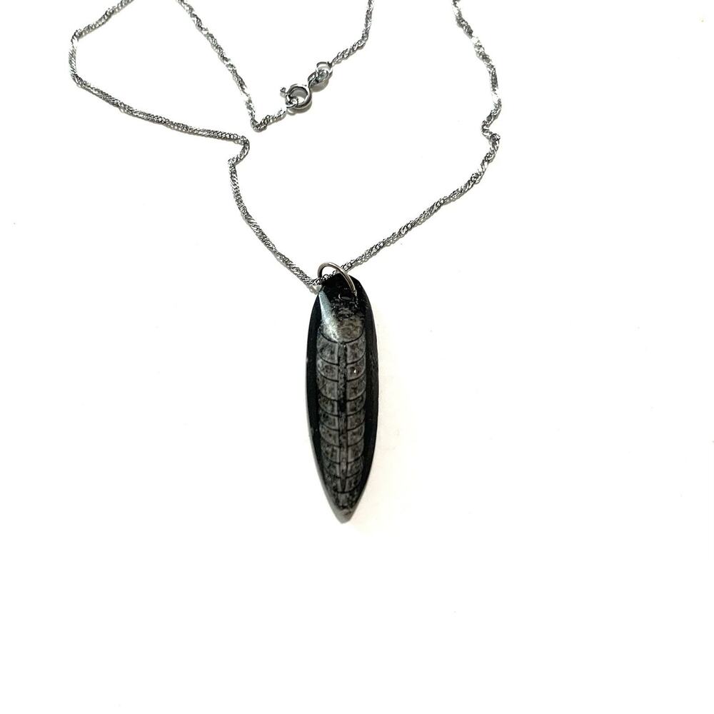 Vintage Polished Fossilized Orthoceras Pendant Necklace 18K WG Plated Chain 16"